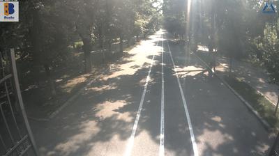 Buzau: Parcul Crang - Traffic and Landscape