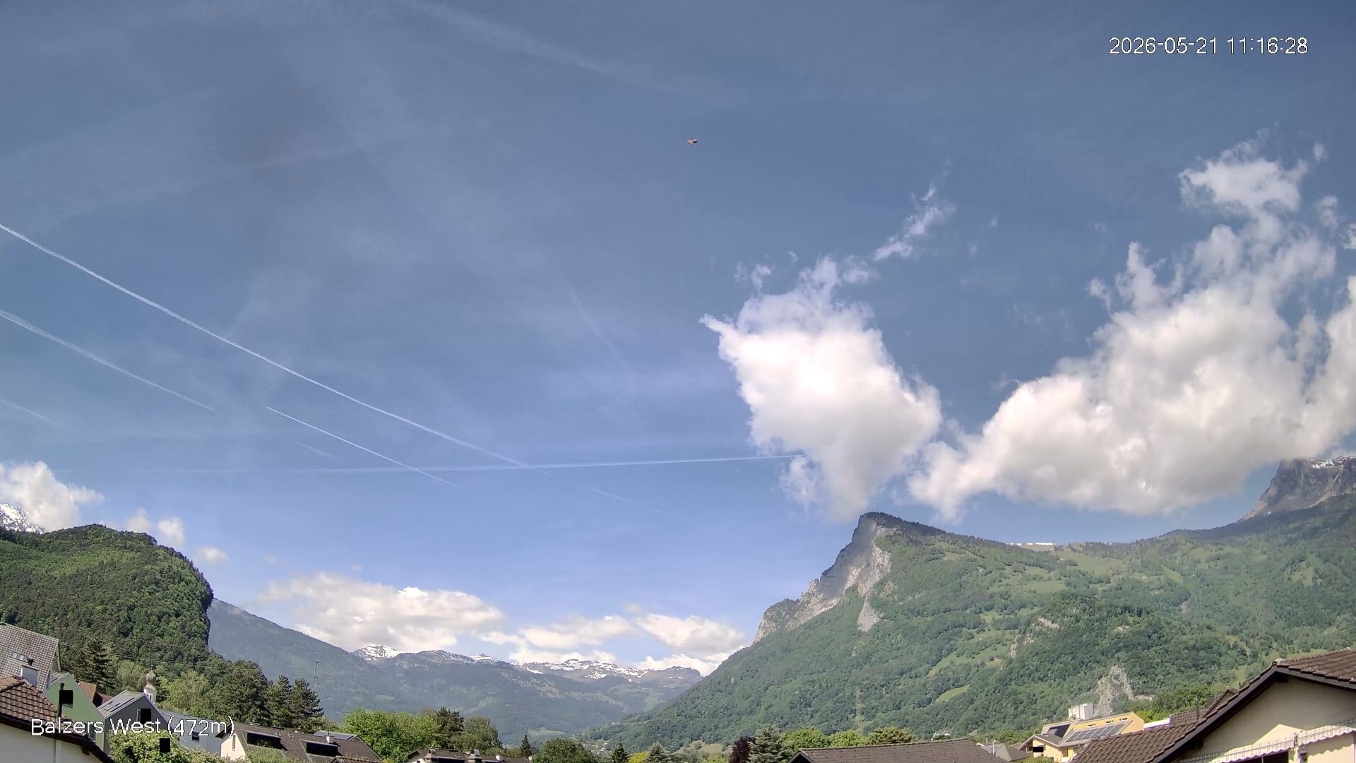 Balzers › Westen: Gonzen