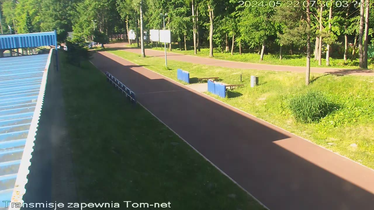 Traffic Cam Tomaszow › South: Lubelskie, Rzeczpospolita - Trasy narciarstwa biegowego Siwa Dolina