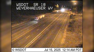 Federal Way Traffic & Landscape View