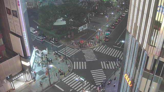 Traffic Cam Shinjuku