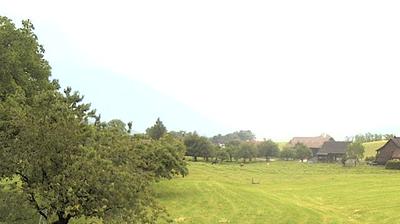 South View: Landscape & Weather