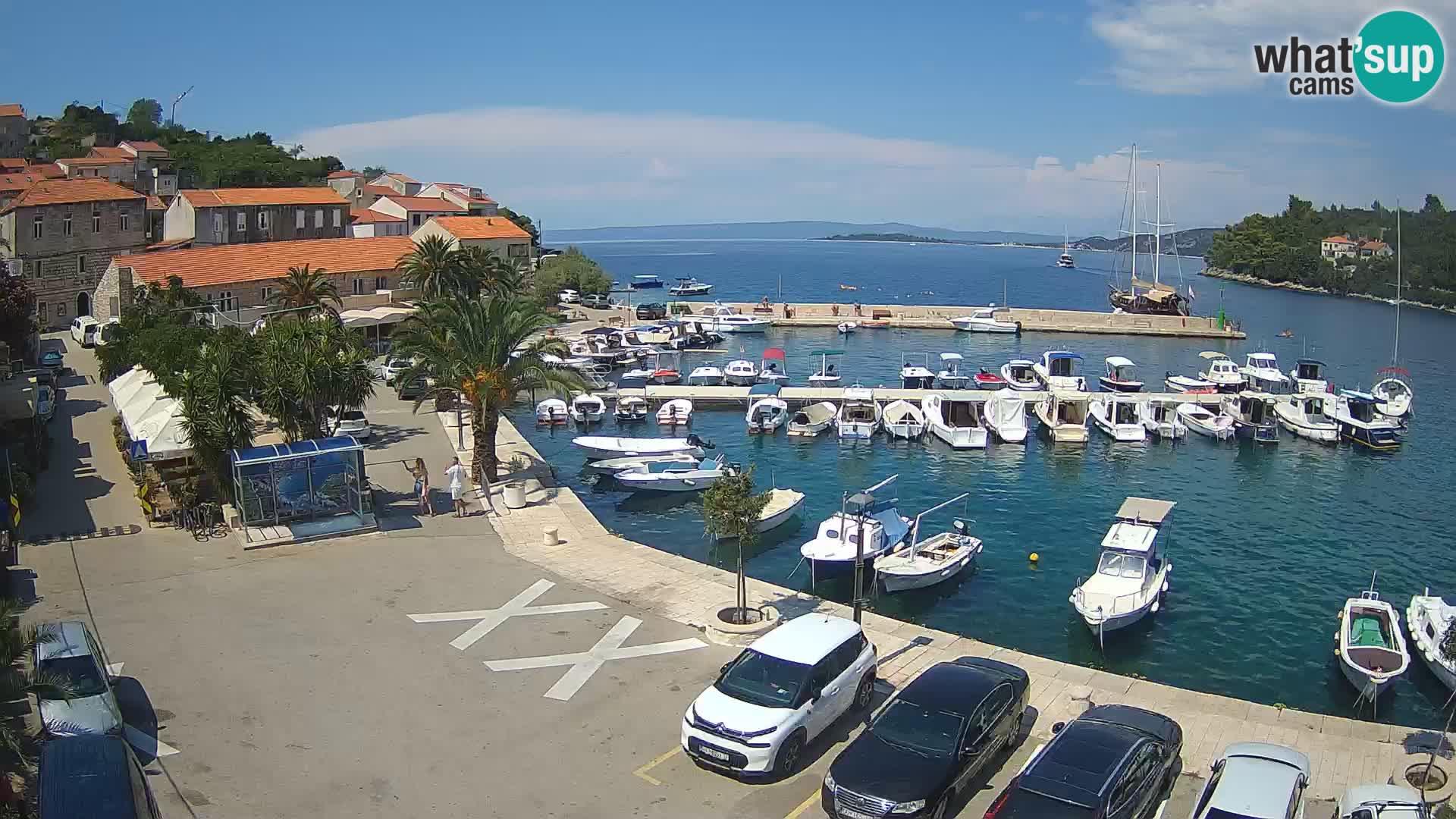 Racisce: Korcula