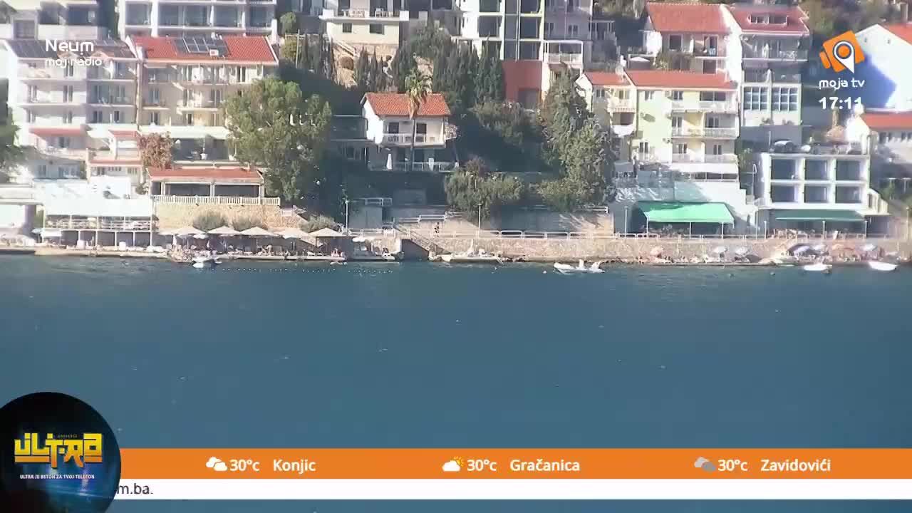 Traffic Cam Neum