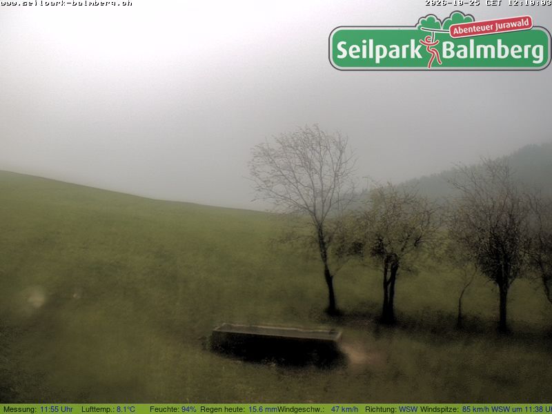Balm bei Günsberg