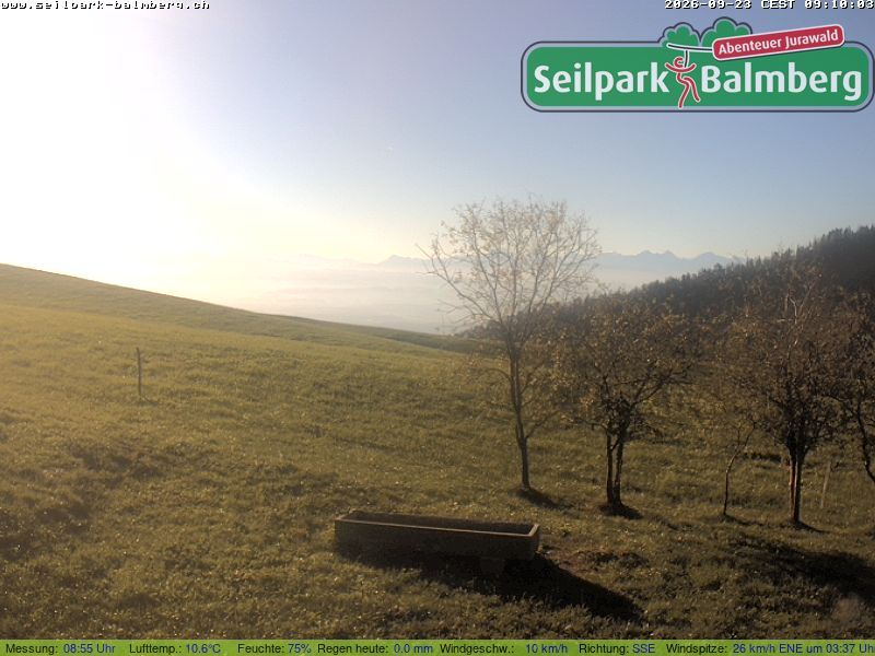Balm bei Günsberg