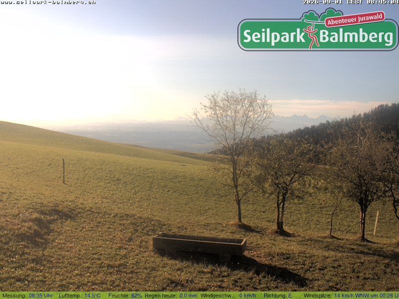 Balm bei Günsberg