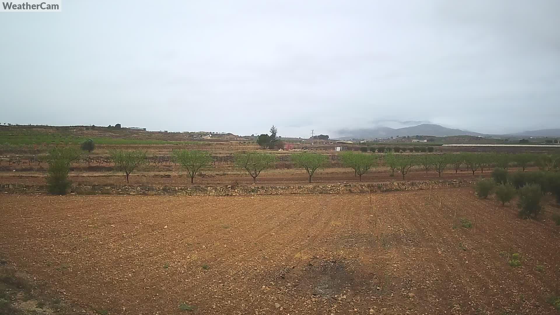 el Pinos WeatherCam01 Weather Cam Spain