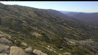 Snowy Monaro Regional Council › East