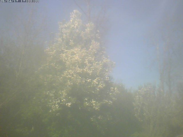 Wohlen bei Bern › Norden: Ittigen