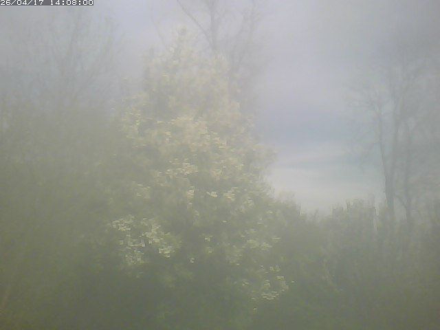 Wohlen bei Bern › Norden: Ittigen