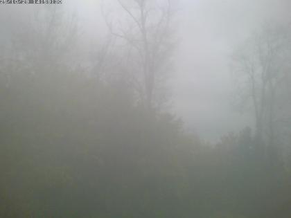 Wohlen bei Bern › Norden: Ittigen