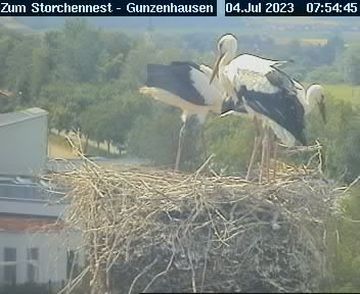 Traffic Cam Gunzenhausen: Storchennest vom Gasthaus Lehner