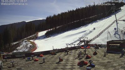 Radauti: Partia Voievod Sucevita