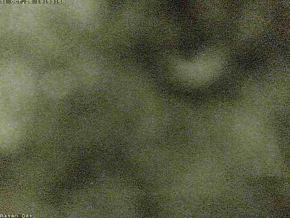 Oberägeri: Restaurant Raten