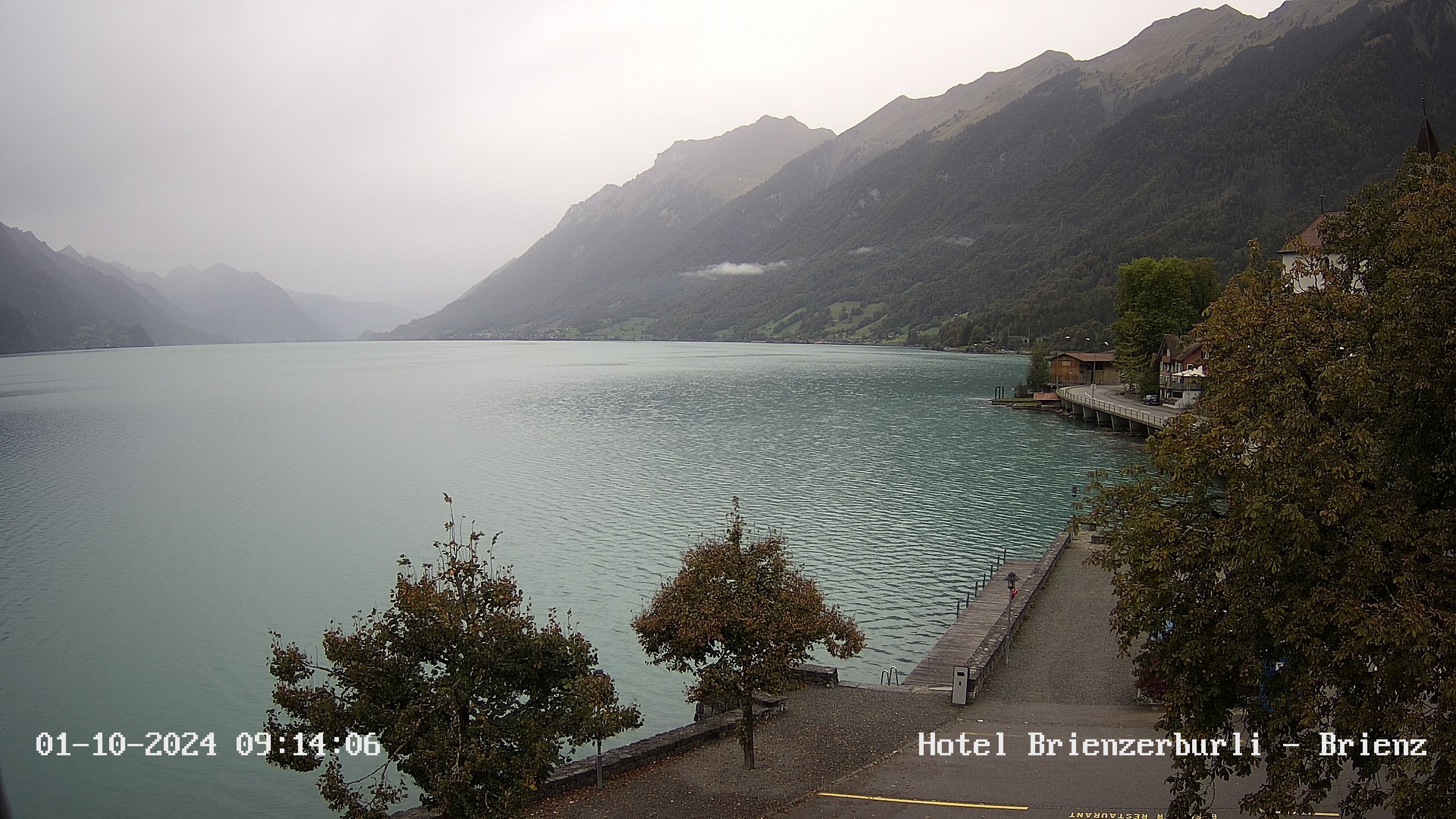 Brienzersee › Süd-West: Löwen - Hotel Brienzerburli - Brienz - Augstmatthorn