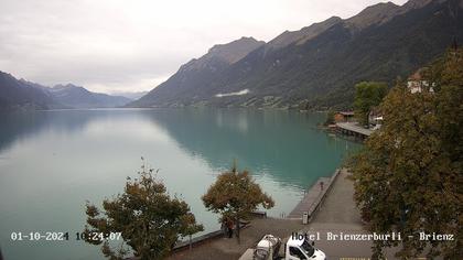 Brienzersee › Süd-West: Löwen - Hotel Brienzerburli - Brienz - Augstmatthorn