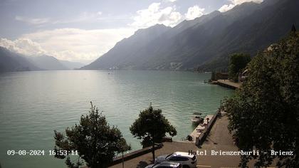 Brienzersee › Süd-West: Löwen - Hotel Brienzerburli - Brienz - Augstmatthorn