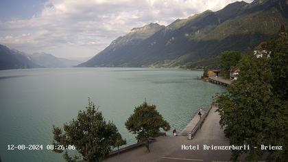 Brienzersee › Süd-West: Löwen - Hotel Brienzerburli - Brienz - Augstmatthorn