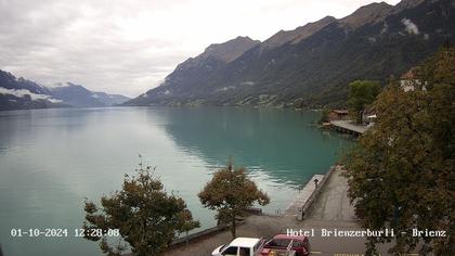 Brienzersee › Süd-West: Löwen - Hotel Brienzerburli - Brienz - Augstmatthorn