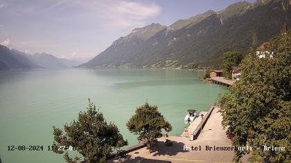 Brienzersee › Süd-West: Löwen - Hotel Brienzerburli - Brienz - Augstmatthorn