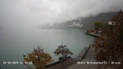 Brienzersee › Süd-West: Löwen - Hotel Brienzerburli - Brienz - Augstmatthorn