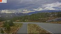 Loding: Heggmoen - Nordland