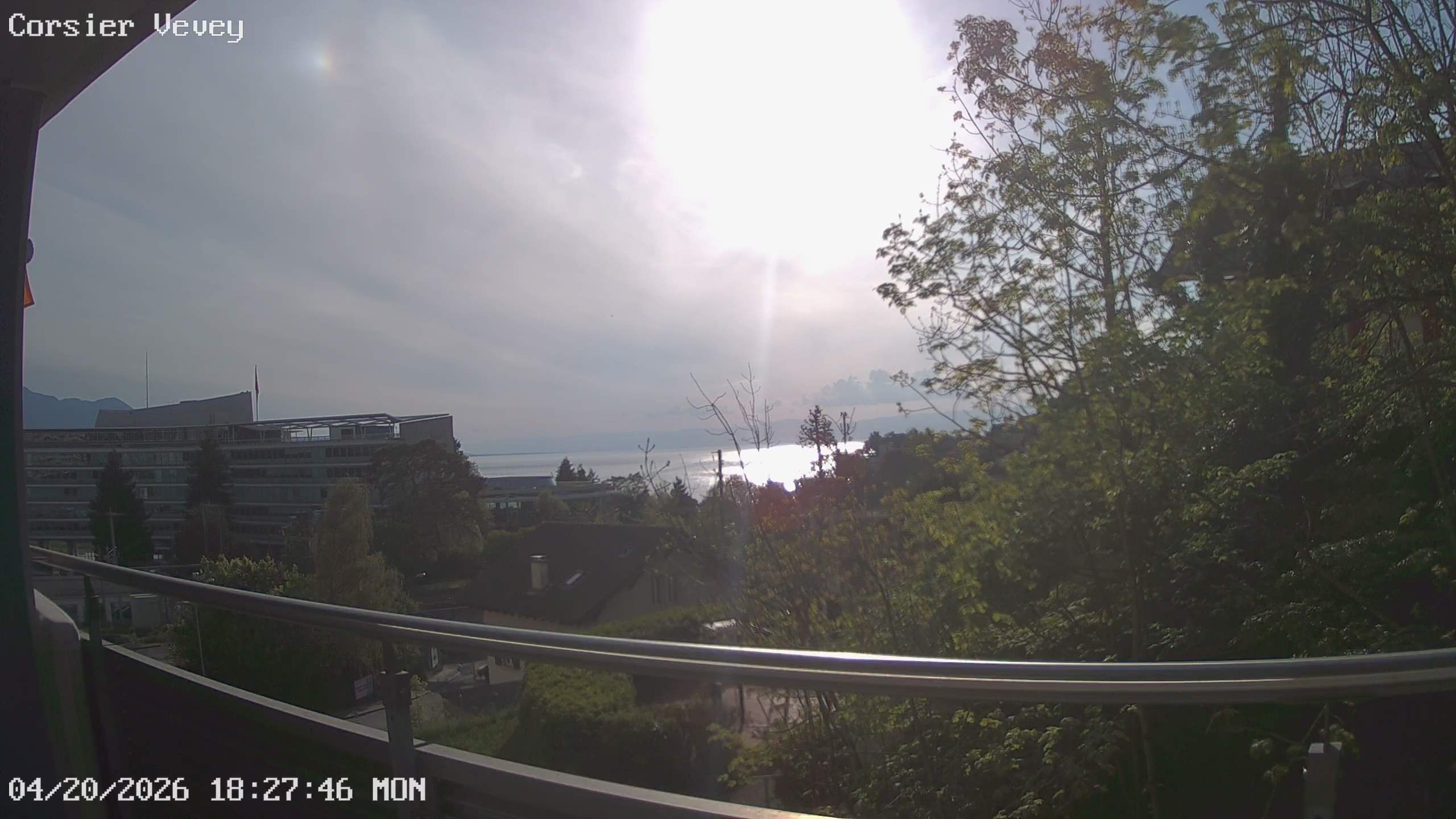 Corsier-sur-Vevey › Südwesten: Avenue Reller