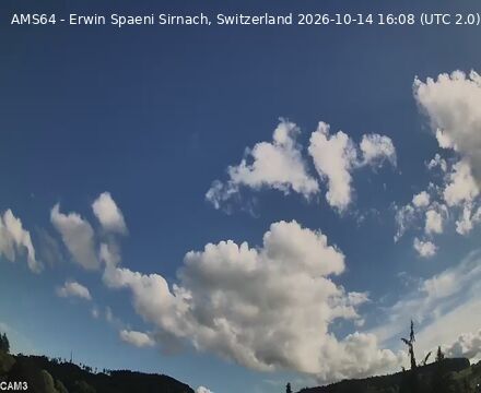 Wangen › Südosten: Sirnach
