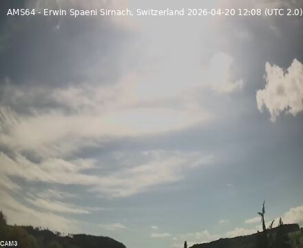 Wangen › Südosten: Sirnach