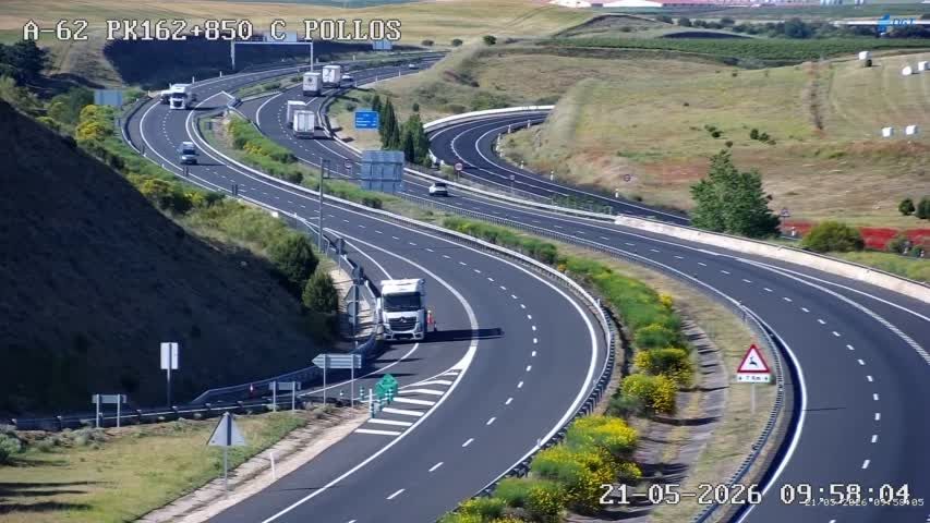 Traffic Cam Pollos