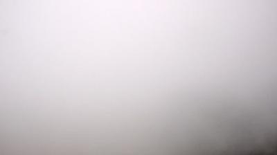 Rinken forest webcam