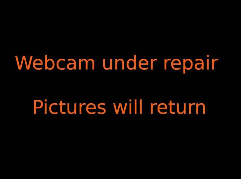 Traffic Cam Owls Head › South-East