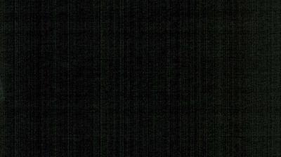 Silbach forest webcam