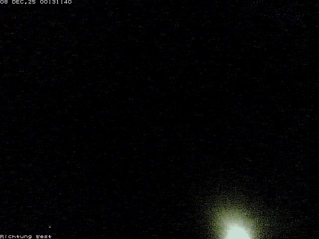 Ernen: Schinnerstrasse 96