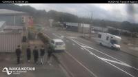 Murchison › South: SH6 - Nelson - Current