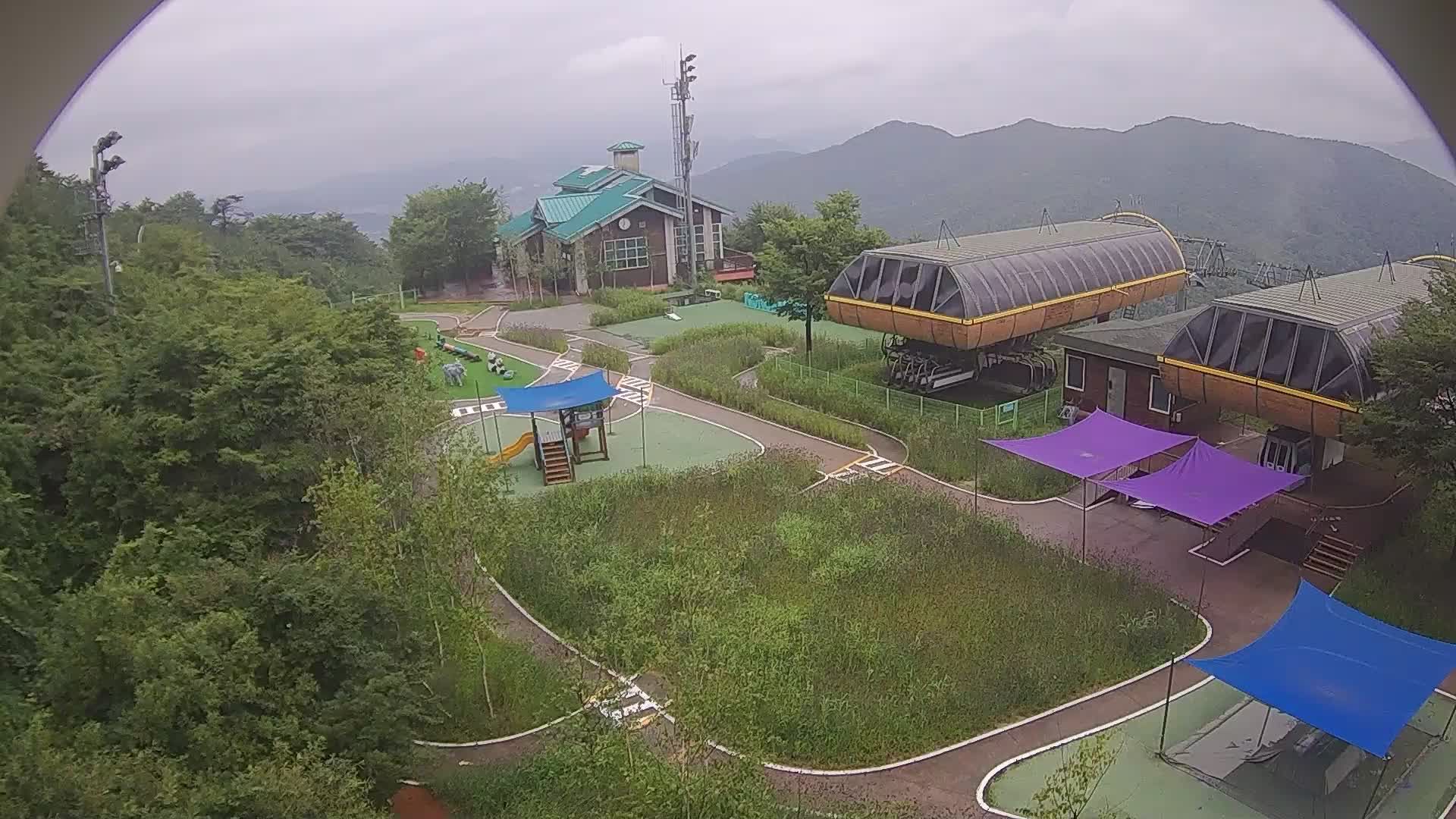 Everland during daytime
