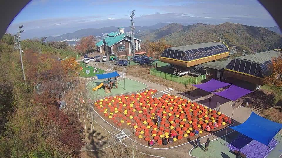 Everland webcam