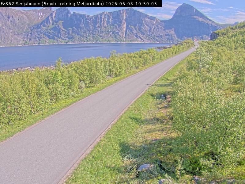 Sommarøy webkamera