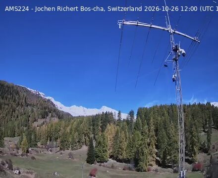 Scuol › Norden: Bos-cha