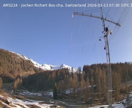 Scuol › Norden: Bos-cha