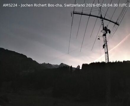 Scuol › Norden: Bos-cha