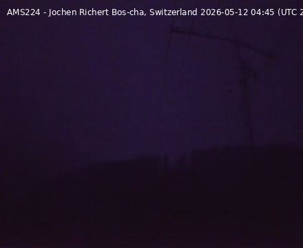 Scuol › Norden: Bos-cha