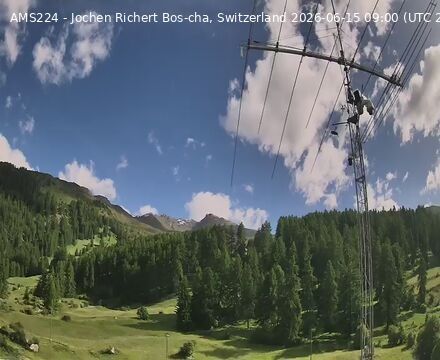 Scuol › Norden: Bos-cha
