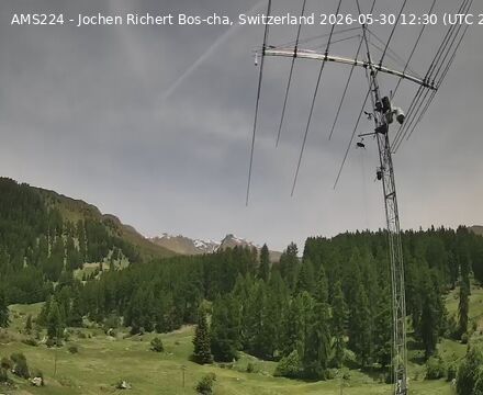 Scuol › Norden: Bos-cha