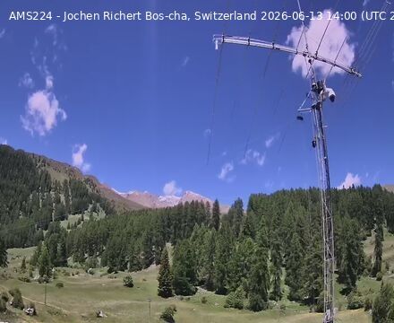 Scuol › Norden: Bos-cha