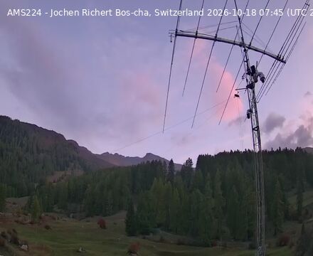 Scuol › Norden: Bos-cha