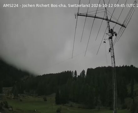 Scuol › Norden: Bos-cha