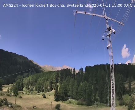 Scuol › Norden: Bos-cha