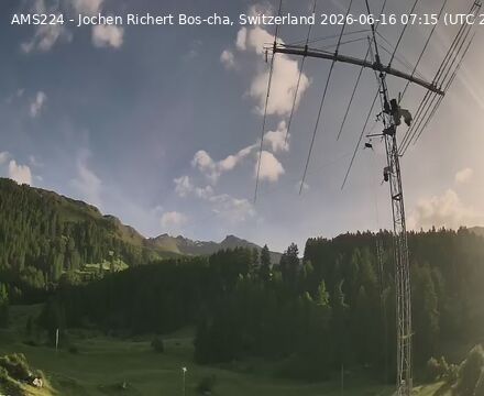 Scuol › Norden: Bos-cha
